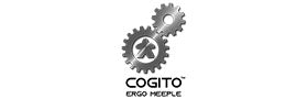 Cogito Ergo Meeple