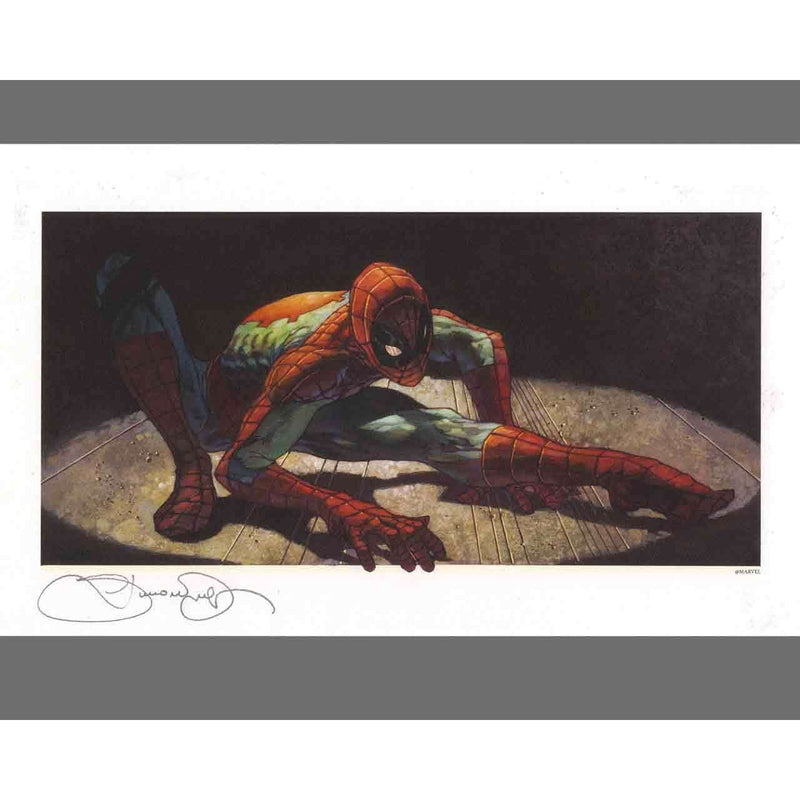 Simone Bianchi Spiderman Crawling Lithograph