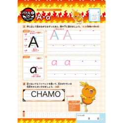 Book Alphabet & Romaji Elementary School Students Pokemon Zukan Drill