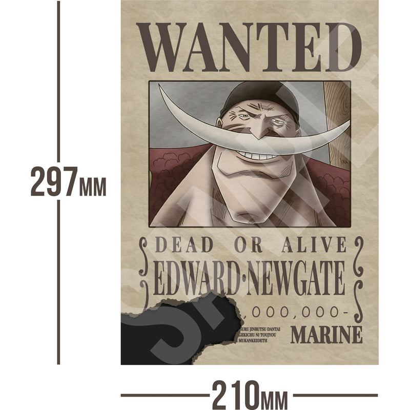 Edward Newgate One Piece Wanted Bounty A4 Poster Unknown Bounty