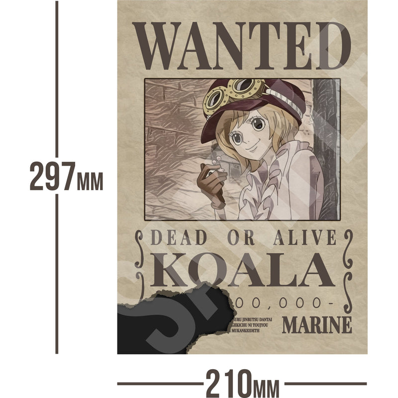 Koala One Piece Wanted Bounty A4 Poster Unknown Bounty