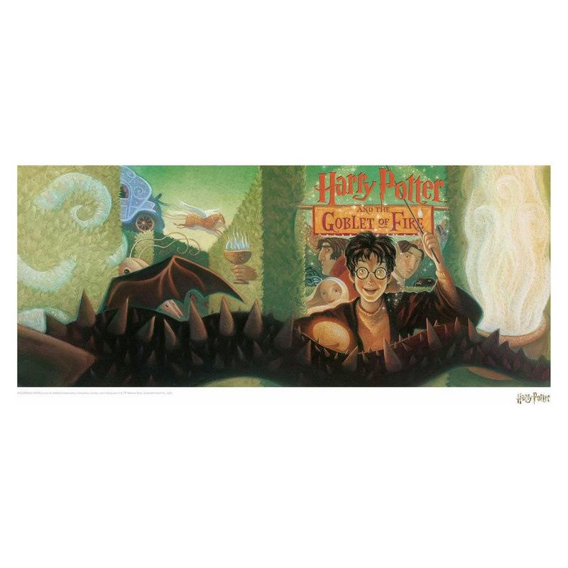 Harry Potter: Goblet Of Fire Book Cover Artwork