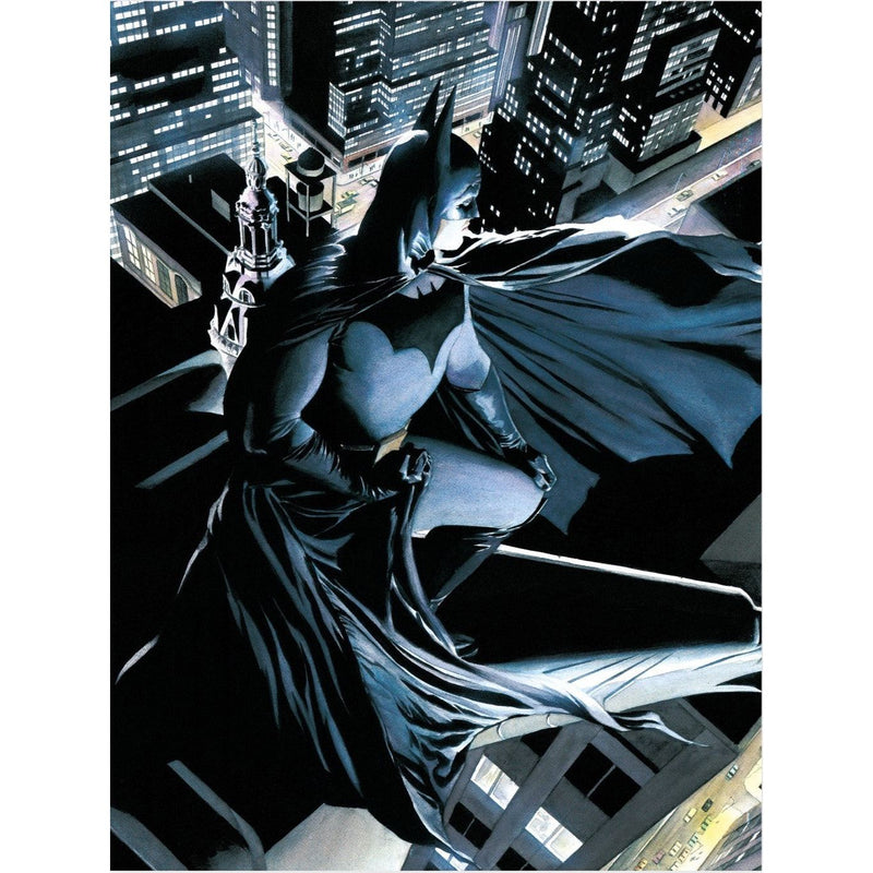 DC Comics: Batman Vigilante 30 X 40 CM Glass Poster