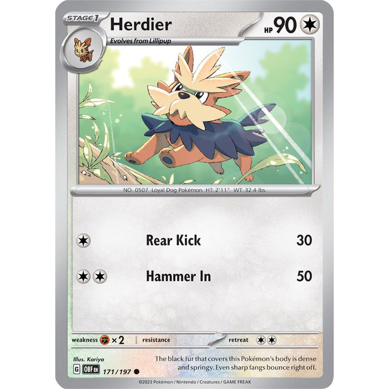 Herdier 171/197 Pokemon Obsidian Flames (OBF EN) Trading Card Common