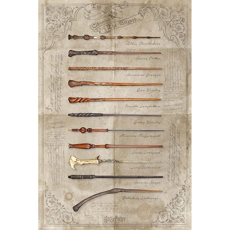 Harry Potter Poster Pack The Wand chooses the Wizzard 61 x 91 CM - Pack Of 4