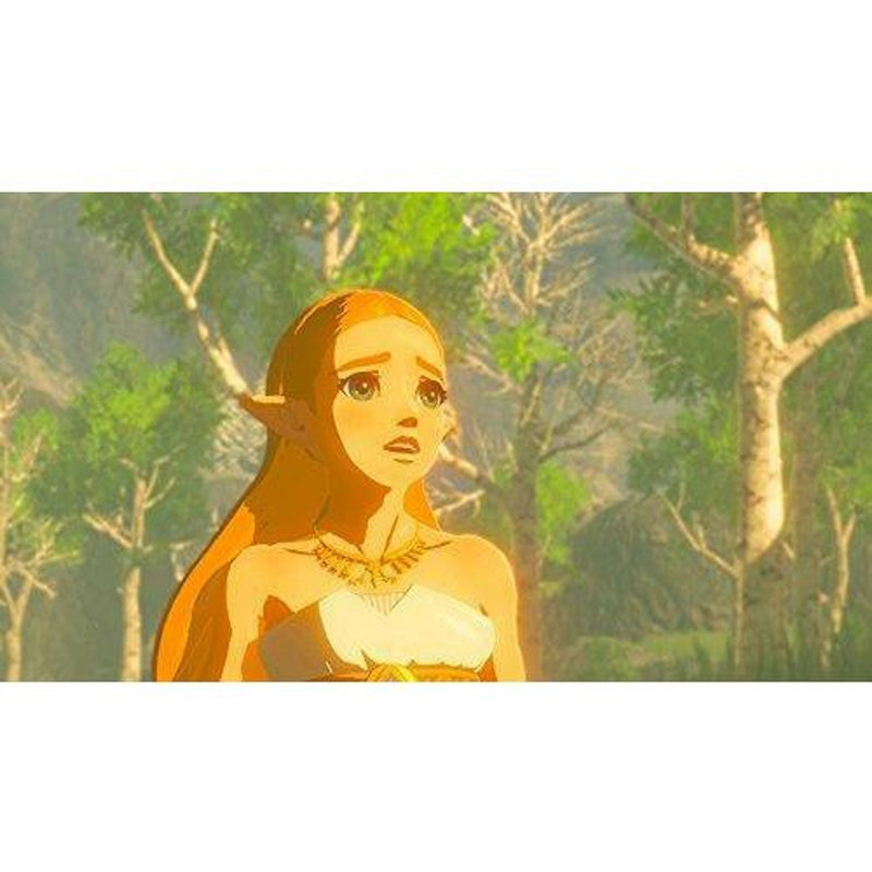 The Legend of Zelda: Breath of the Wild | Nintendo Switch