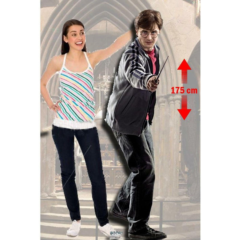 Harry Potter Harry Lifesized Cutout
