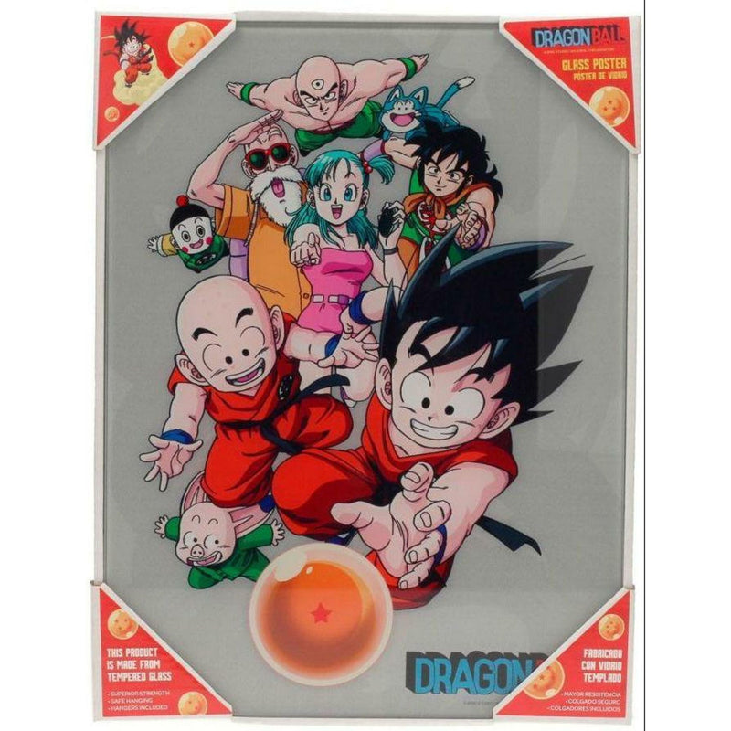 Dragon Ball Characters Glass Poster