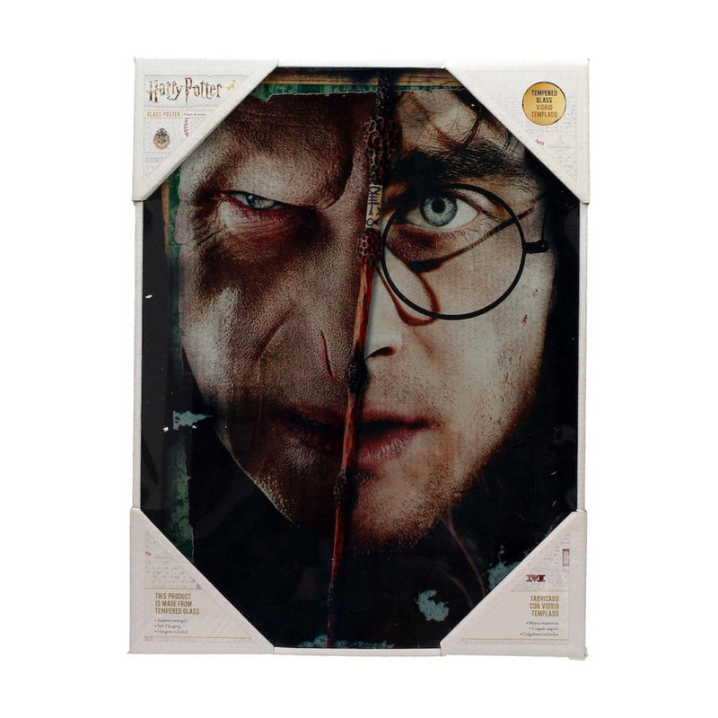 Harry Potter Half Face Harry&Voldemort Glass Poste