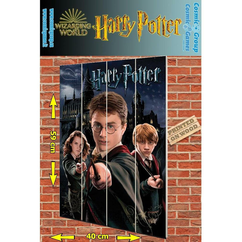Harry Potter Ron Hermione Wood Print