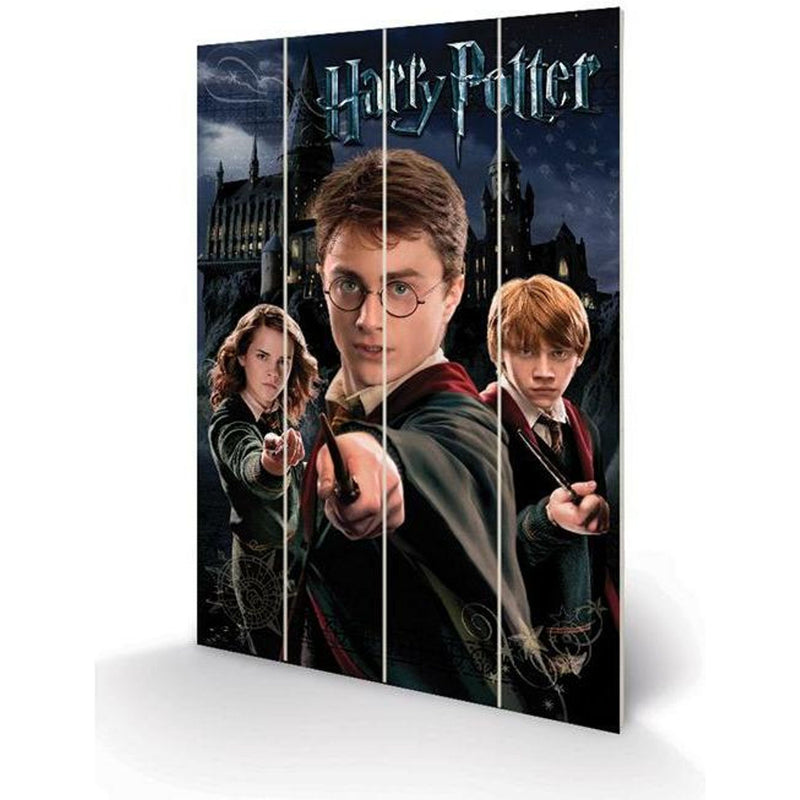 Harry Potter Ron Hermione Wood Print