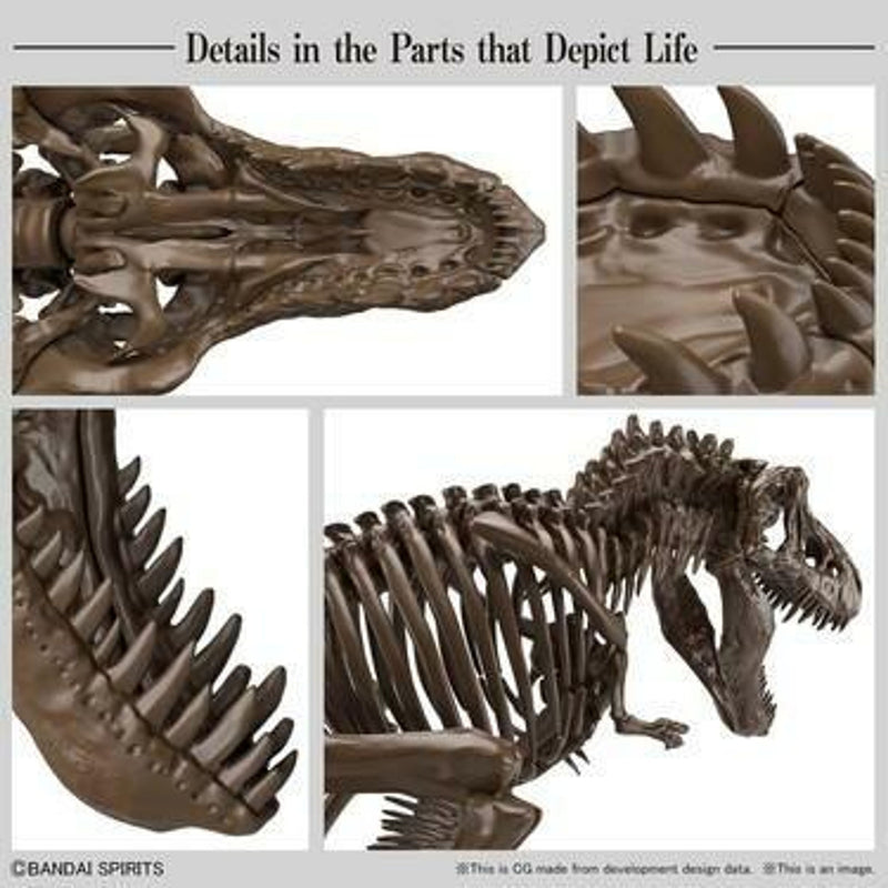 Fossile Collection Imaginary Skeleton Tyrannosaurus - 1:32