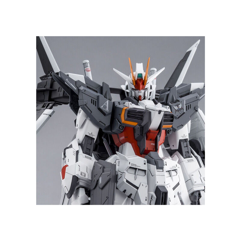 Gunpla MG 1/100 Gundam Ex IMPULSE Build Divers