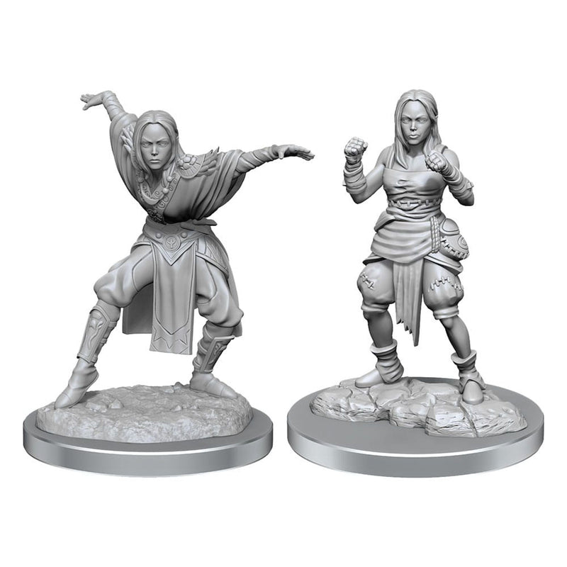 Pathfinder Battles Deep Cuts Unpainted Miniatures 2-Packs Half-Elf Monk Female Case 2